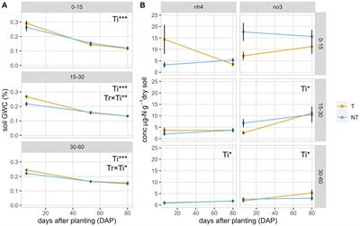 Comparing dry farming of tomatoes across varieties and soil management history